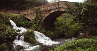 Selezione di eventi in Tuscia 19.05 – 22.05.2018 Selezione di eventi in Tuscia 19.05 – 22.05.2018
