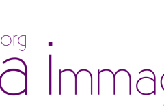 icd_logo_home_stessalinea