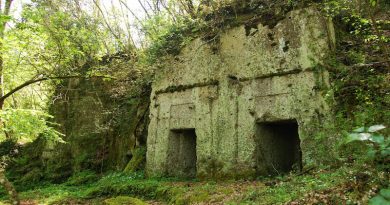 Selezione di eventi in Tuscia 10.08 – 11.08 – 12.08 2018 Selezione di eventi in Tuscia 10.08 – 11.08 – 12.08 2018