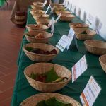 radiotusciaevents.com radiotusciaevents.com