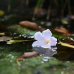 radiotusciaevents.com