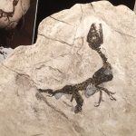 radiotusciaevents.com Terra dei giganti