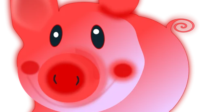 Il maialino perduto aveva accettato