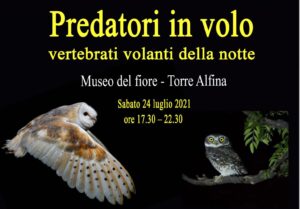radiotusciaevents.com
