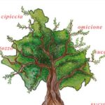 radiotusciaevents.com radiotusciaevents.com