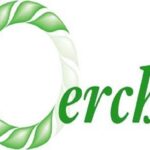 radiotusciaevents.com radiotusciaevents.com