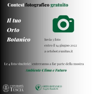 radiotusciaevents.com
