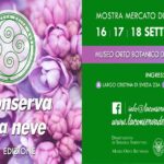 radiotusciaevents.com radiotusciaevents.com