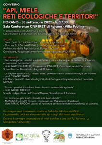 radiotusciaevents.com radiotusciaevents.com