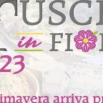 radiotusciaevents.com