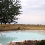 radiotusciaevents.com Bullicame terme naturali