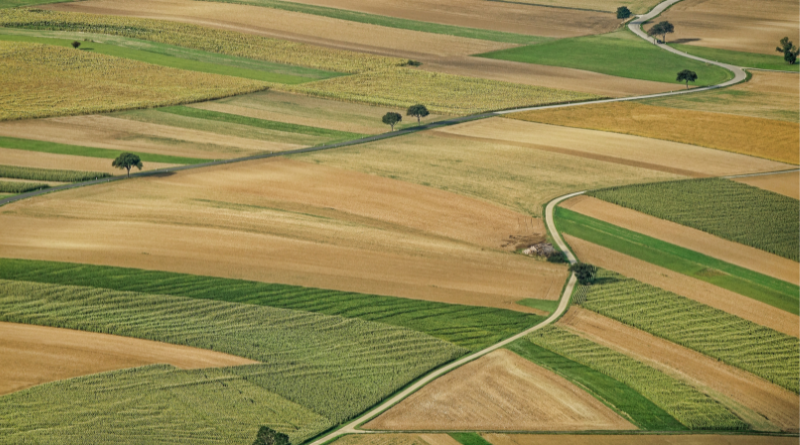 radiotusciaevents.com Agricoltura in Italia