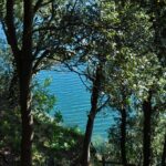 la notte etrusca sul monte Bisenzio