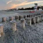in Romagna la nascita delle tartarughe marine “Caretta Caretta”