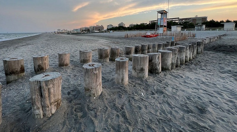 radiotusciaevents.com in Romagna la nascita delle tartarughe marine “Caretta Caretta”