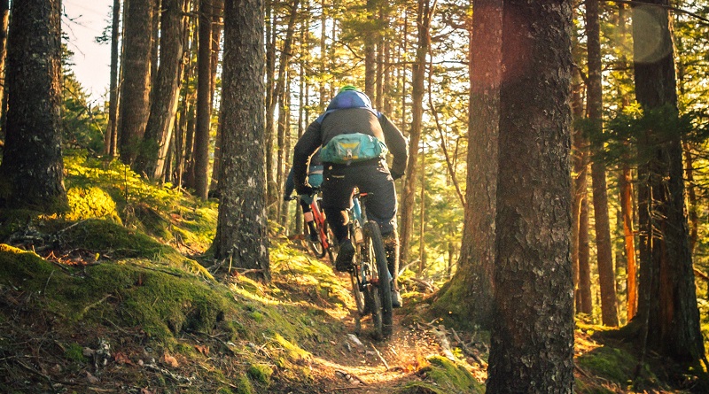 pedalando lungo la via Francigena attraverso la selva Cimina