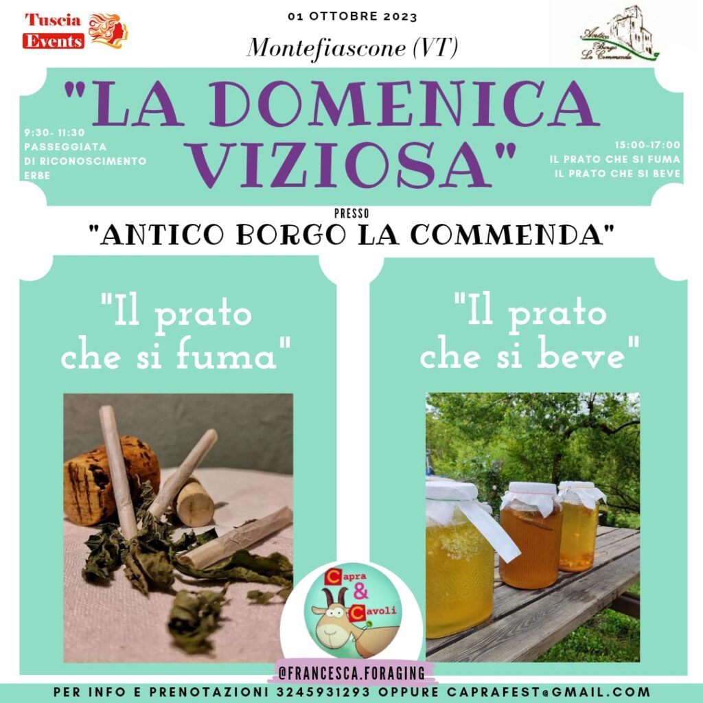 radiotusciaevents.com radiotusciaevents.com