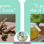 radiotusciaevents.com la domenica viziosa