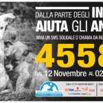 radiotusciaevents.com Leidaa, un sms solidale