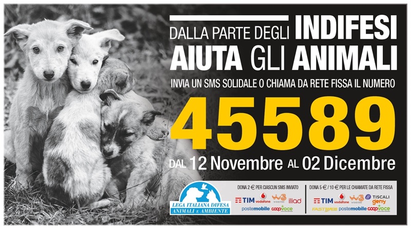 radiotusciaevents.com Leidaa, un sms solidale