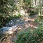 radiotusciaevents.com Bosco magico