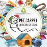radiotusciaevents.com Pet Carpet: Un riciclo da Oscar