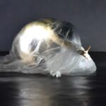 radiotusciaevents.com Cerveteri In Danza - III Edizione