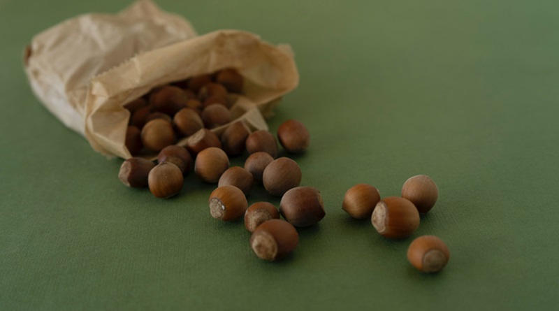 radiotusciaevents.com Nutella Plant Based, Una Rivoluzione nel Mondo vegano