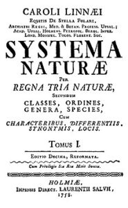 Trattato di Carlo Linneo. Fonte Wikipedia
