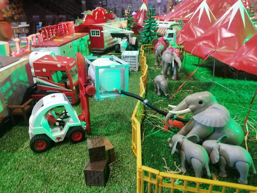 radiotusciaevents.com la sfida dello zoo