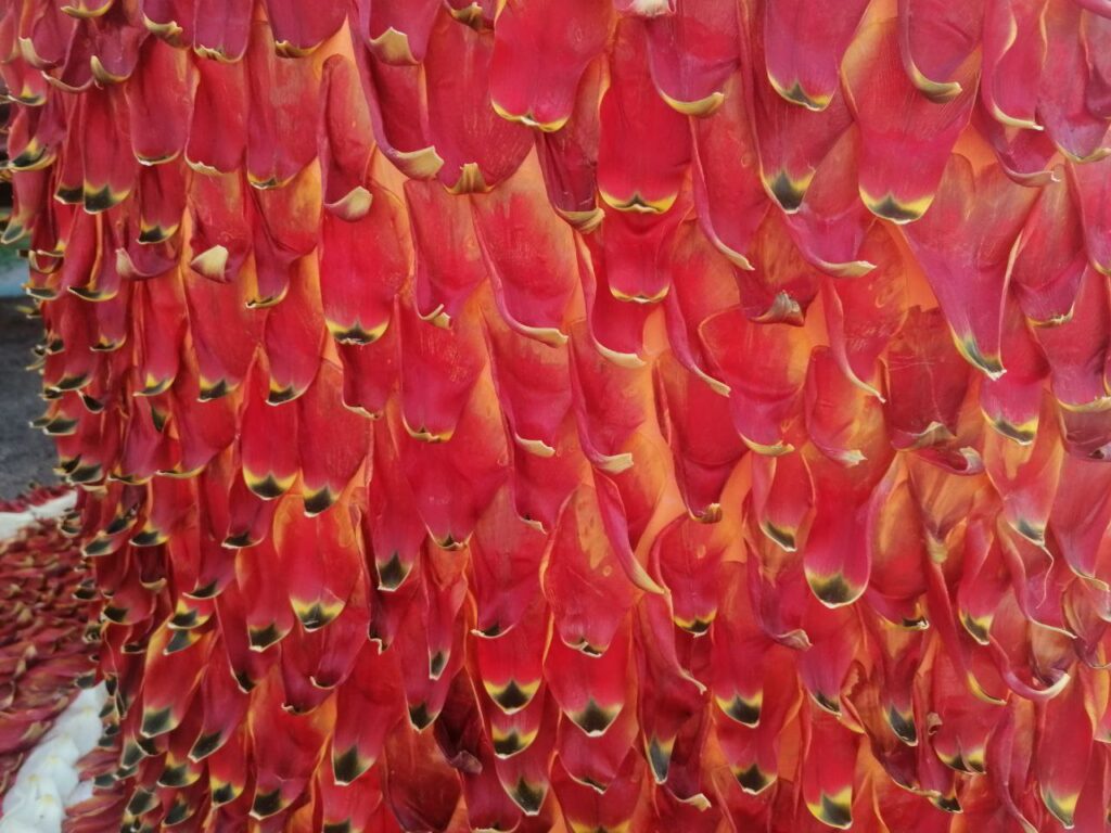 radiotusciaevents.com festival del tulipano un milione di petali