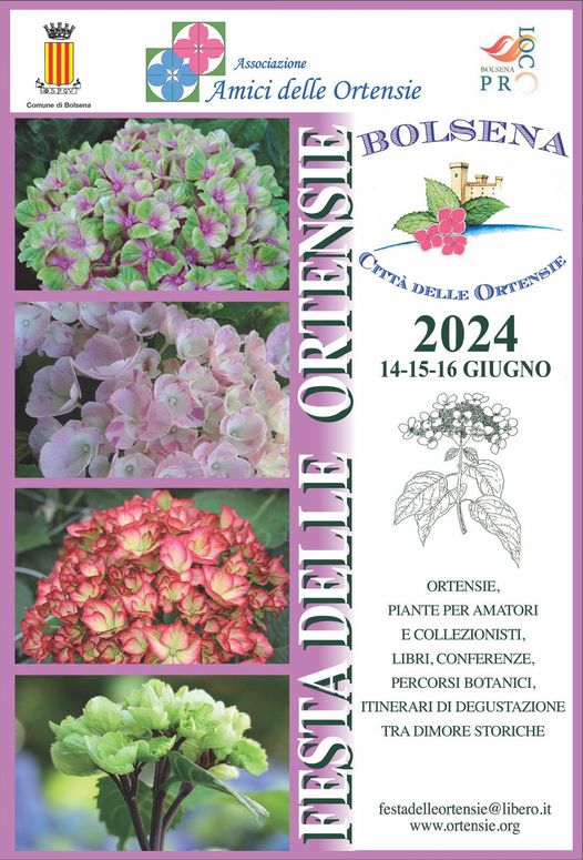 Festa delle Ortensie