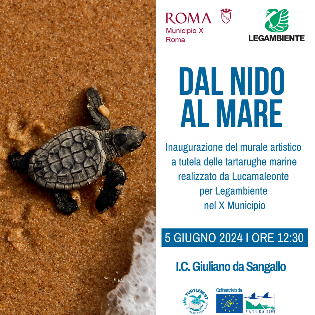 radiotusciaevents.com DAL NIDO AL MARE