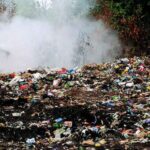 Rapporto Ecomafia