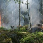 radiotusciaevents.com incendi boschivi