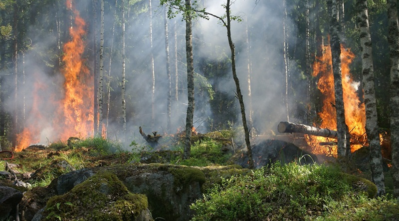 radiotusciaevents.com incendi boschivi