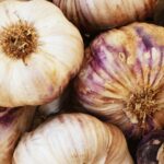 radiotusciaevents.com Gara Gastronomica per la valorizzazione dell'Aglio Rosso dì Proceno