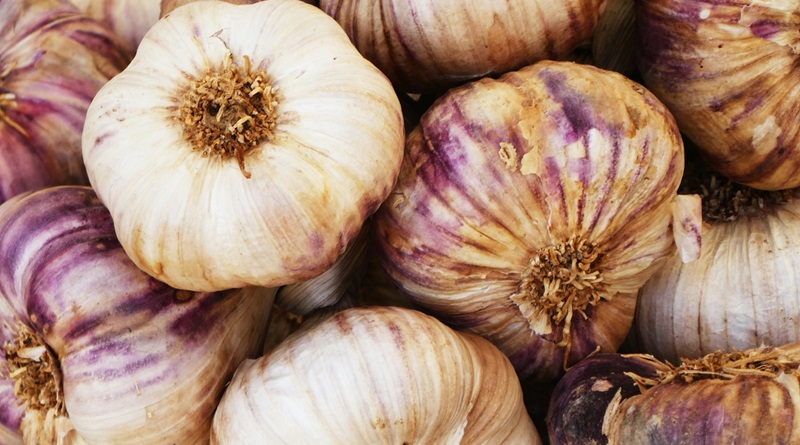 radiotusciaevents.com Gara Gastronomica per la valorizzazione dell'Aglio Rosso dì Proceno