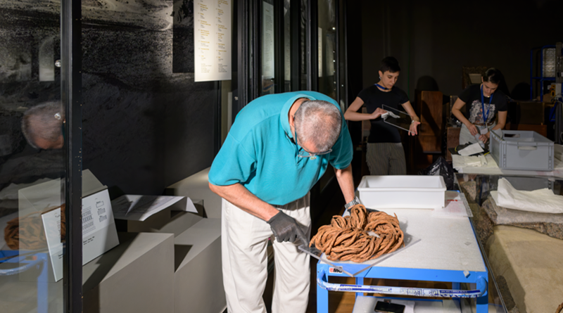 radiotusciaevents.com Nefertari, il corredo funebre torna al Museo Egizio