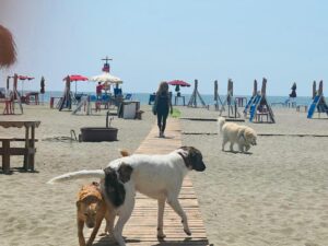 radiotusciaevents.com