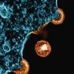 radiotusciaevents.com A voce alta - dialoghi sull'Hiv