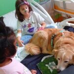 Mario Colombo Pet therapy