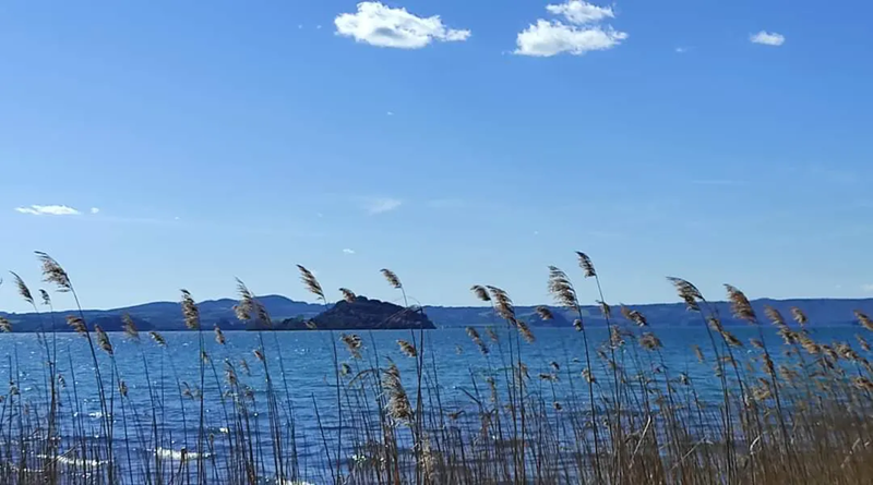 radiotusciaevents.com R.A.N.E. Resistenza Attiva nell'Ecosistema Lago di Bolsena