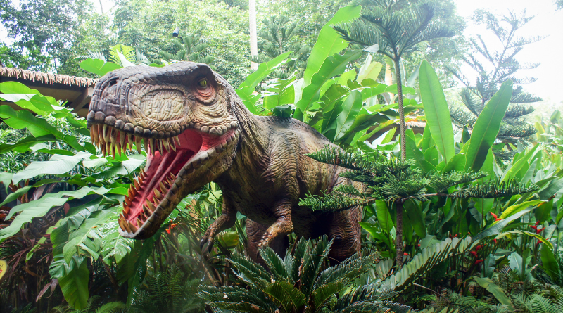 radiotusciaevents.com Dino Park