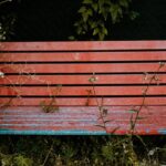 Stop violenza. Le parole per dirlo