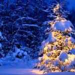 radiotusciaevents.com "Blue Christmas" verrà inaugurato ufficialmente domenica 22 dicembre alle 17.30 in occasione della Tombolata al Cenacolo San Marco.
