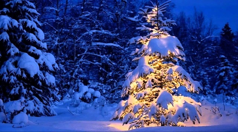 radiotusciaevents.com "Blue Christmas" verrà inaugurato ufficialmente domenica 22 dicembre alle 17.30 in occasione della Tombolata al Cenacolo San Marco.