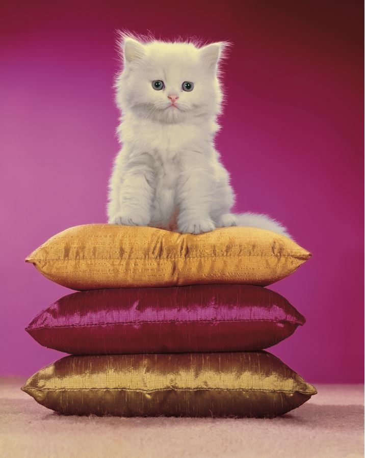radiotusciaevents.com CHROMOTHERAPIA La fotografia a colori che rende felici