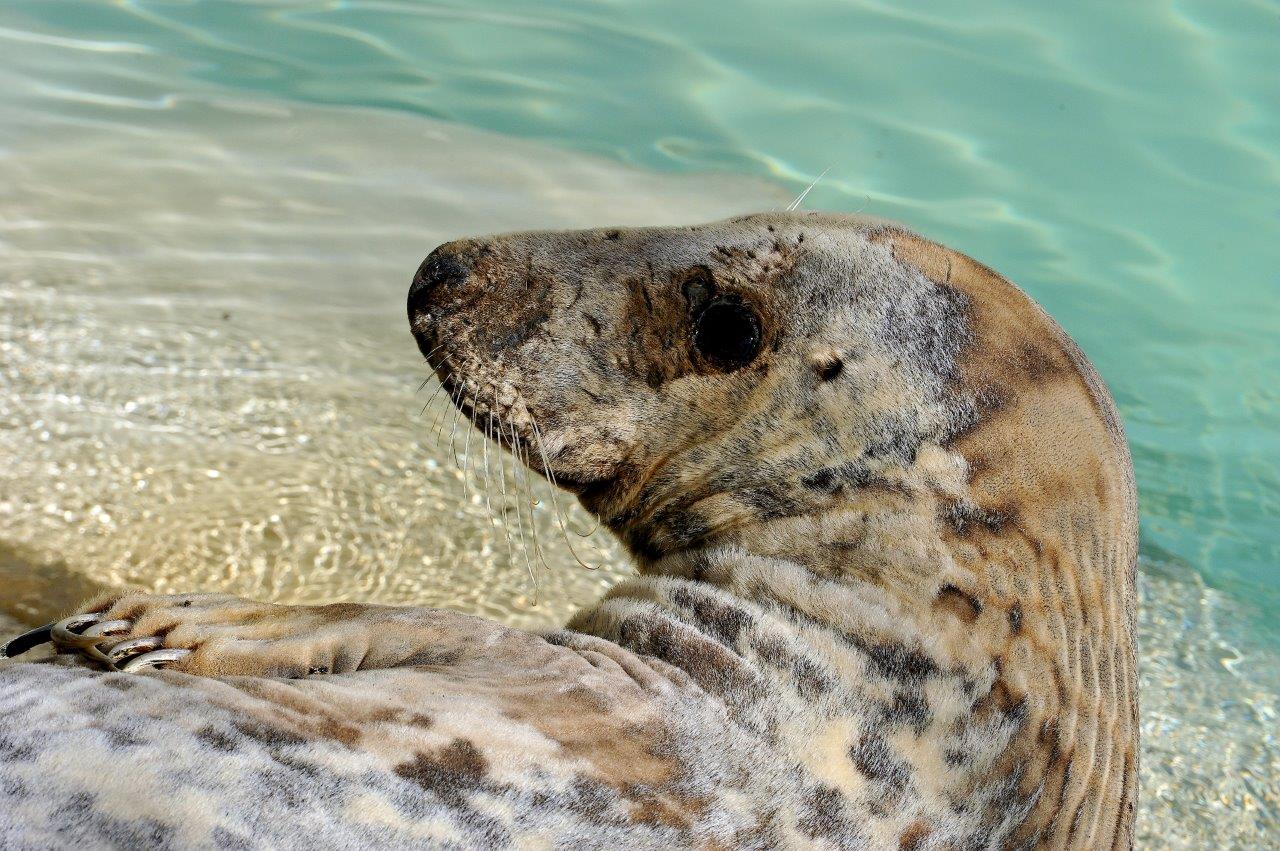 radiotusciaevents.com Domenica 16 febbraio 2025 Darwin Day al Bioparco