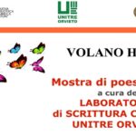 radiotusciaevents.com una colorata mostra dal titolo “Volano haiku”, fruibile nel Portico della Biblioteca Fumi dal 20 al 28 Marzo 2025.